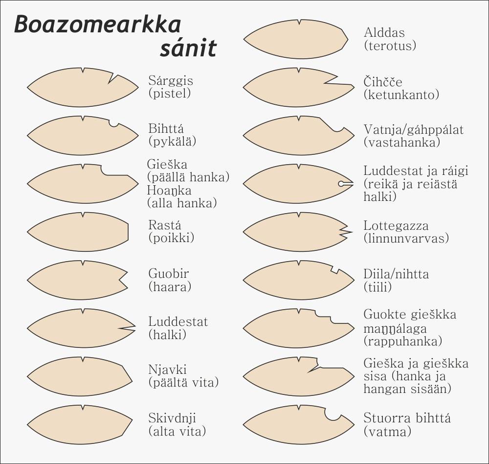 boazomearkka2