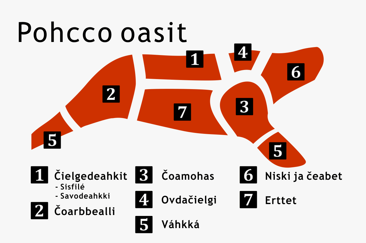 Bohcco oasit
