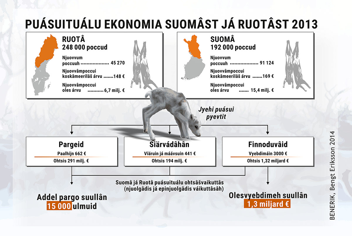 Puásuituálu ekonomia Suomâst já Ruotâst 2013