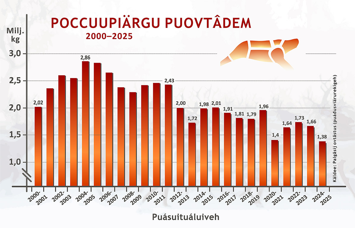 Poccuupiärgu puovtâdem 2000-2025.