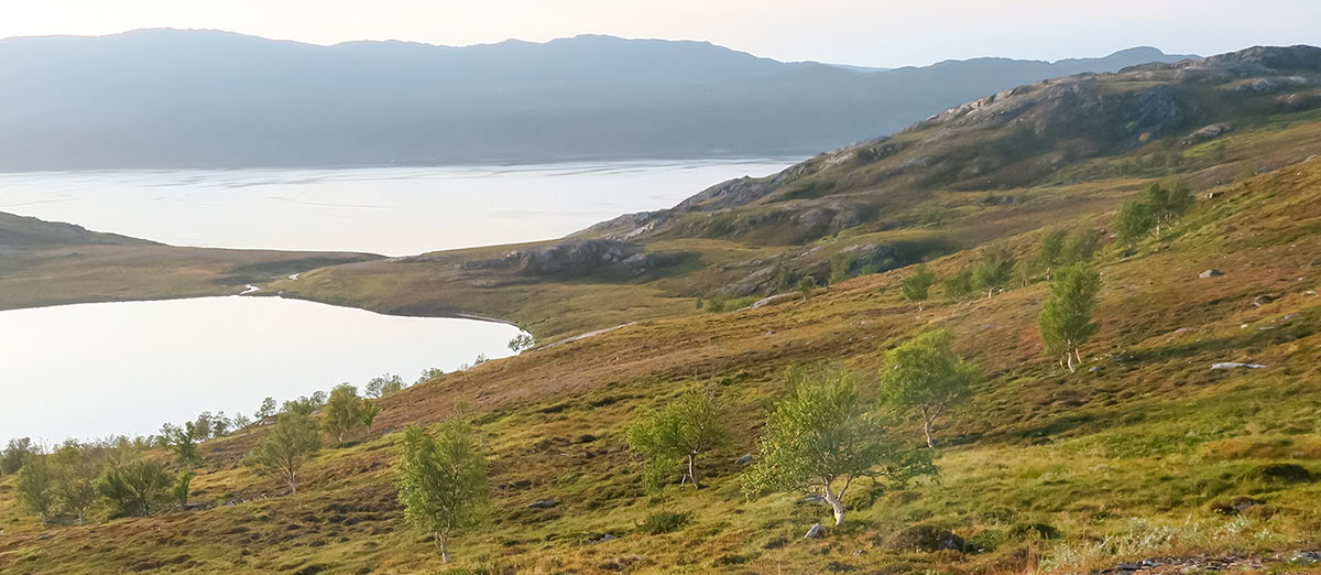 Oroarktista tunturiluontoa. Kuva: Lauri Oksanen.