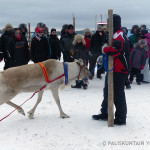 The Champion Ote 2015. Image. Anne Ollila.